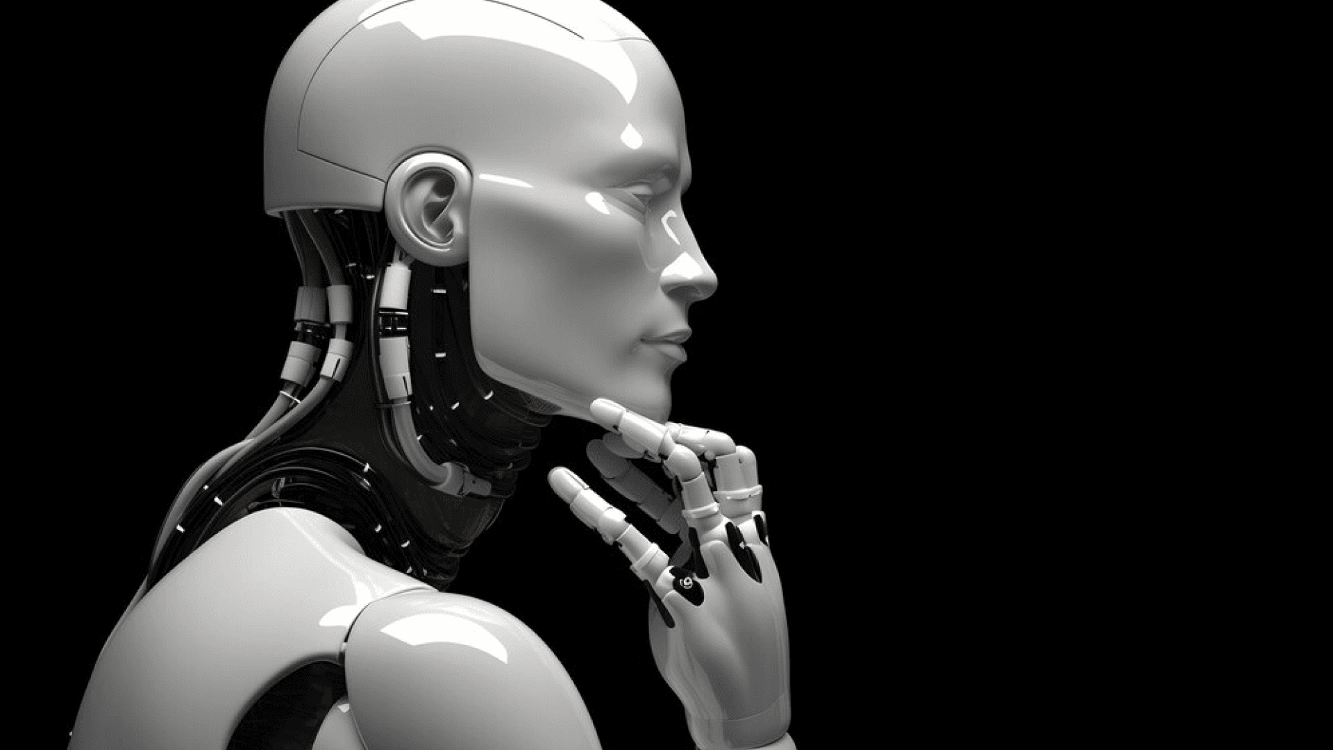 Quanto Ganha um Influenciador Digital em Portugal em 2024